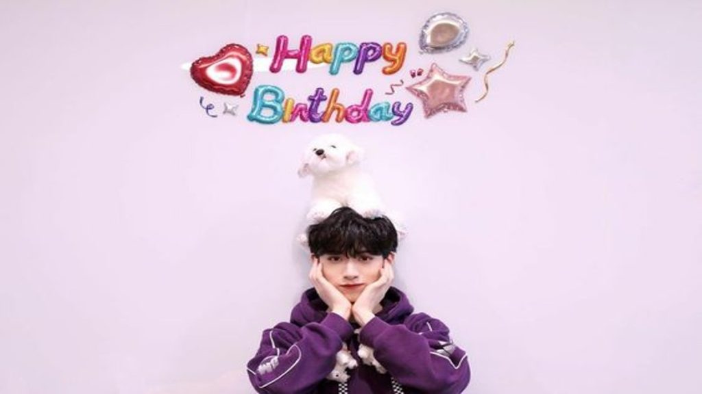 Korean entertainment news image